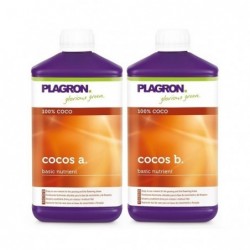 COCO A+B PLAGRON