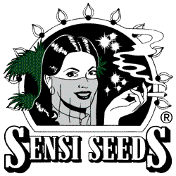 Super Skunk Fem. Sensi Seeds