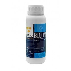 BLOOM REMO