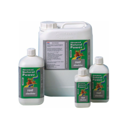 Root Stimulator