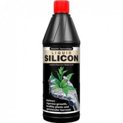 Liquid Silicon 1 L Growth Technology