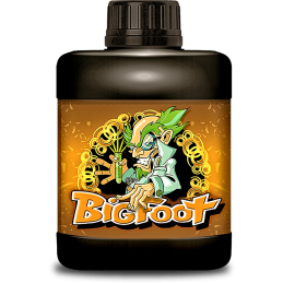 BigFoot