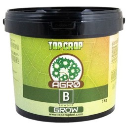 Top Agro B Grow Powder