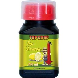 Top Lemon