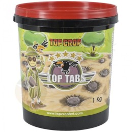Top Tabs