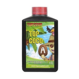 Top Coco B