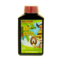 Top Coco A
