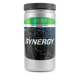 Synergy™