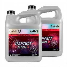 Impact Bloom A+B