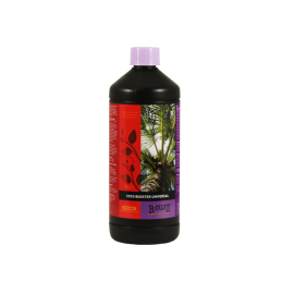 B'Cuzz Booster Coco Universal