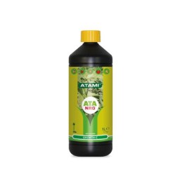 ATA NRG Growth C