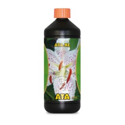 Ata XL