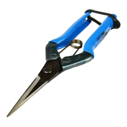 Tijeras Chikamasa T-552