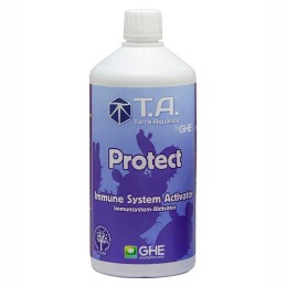Protect T.A.