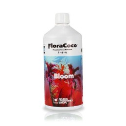 DualPart Coco Bloom
