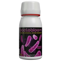 Bactobloom