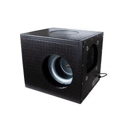 Dutch Masters Caja Foam