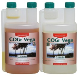 Canna Cogr Vega A+B