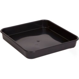 Plato Cuadrado Negro