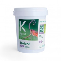 Spidend 250 Cubo 550 ml...