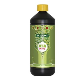 ATA NRG Alga-C Atami