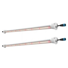 Inter Canopy LED Solux 120W
