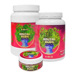 Brutal Buds